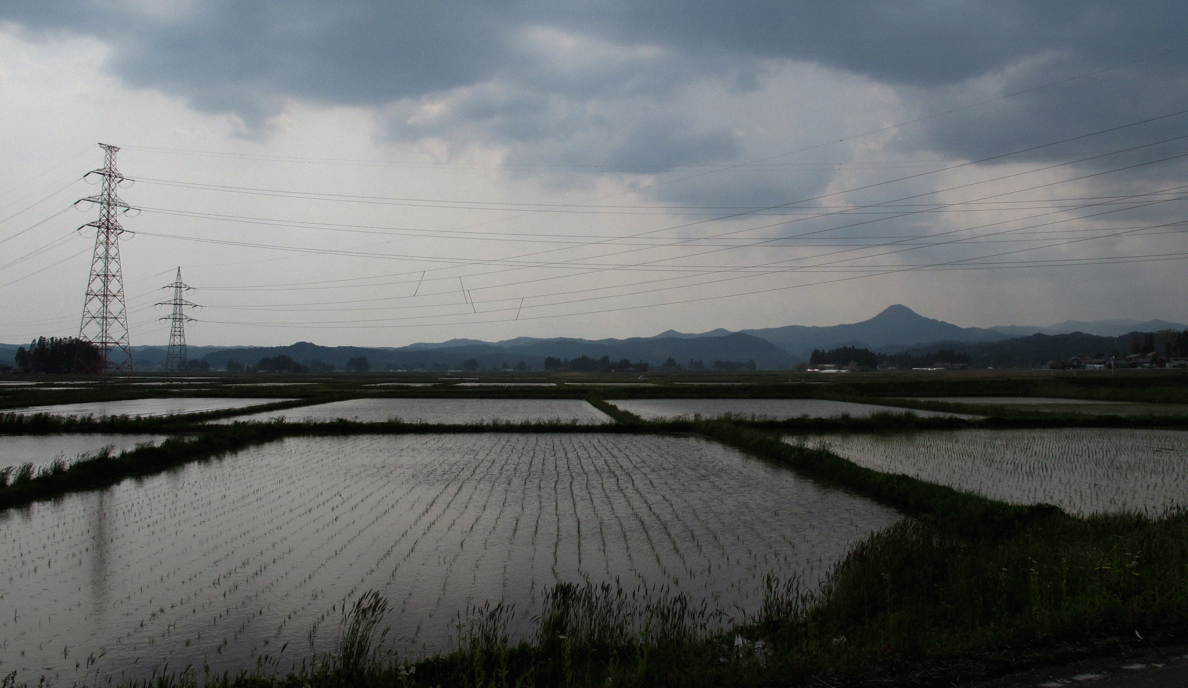 TOHOKU