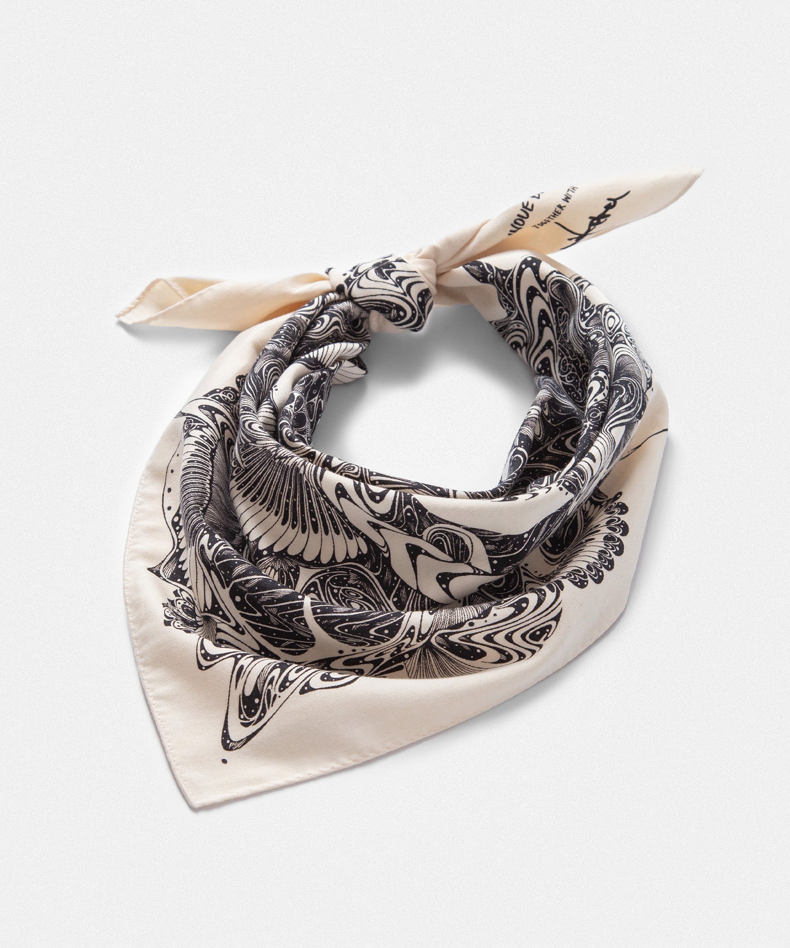 Cotton Scarf Small / TAKERU IWAZAKI