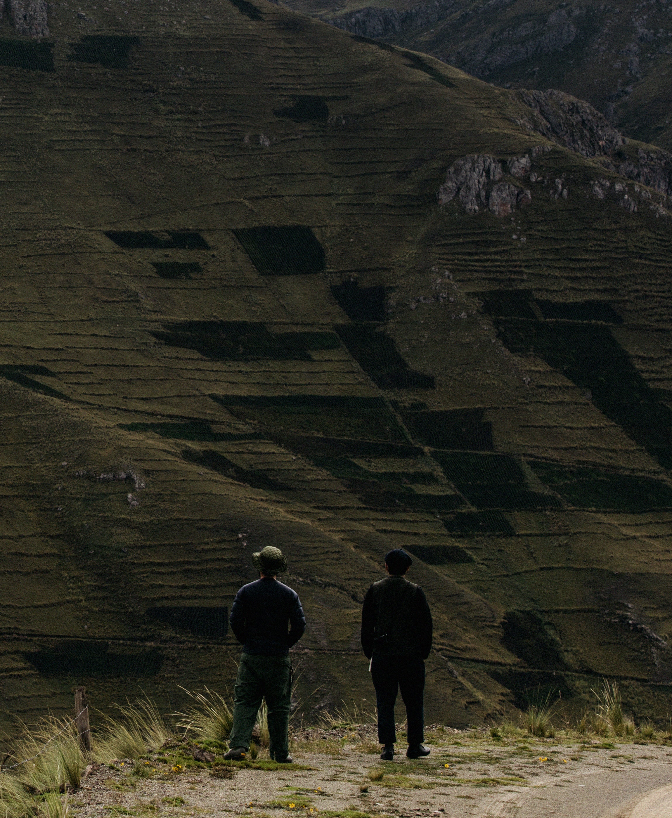 ザ イノウエブラザーズ The Inoue Brothers