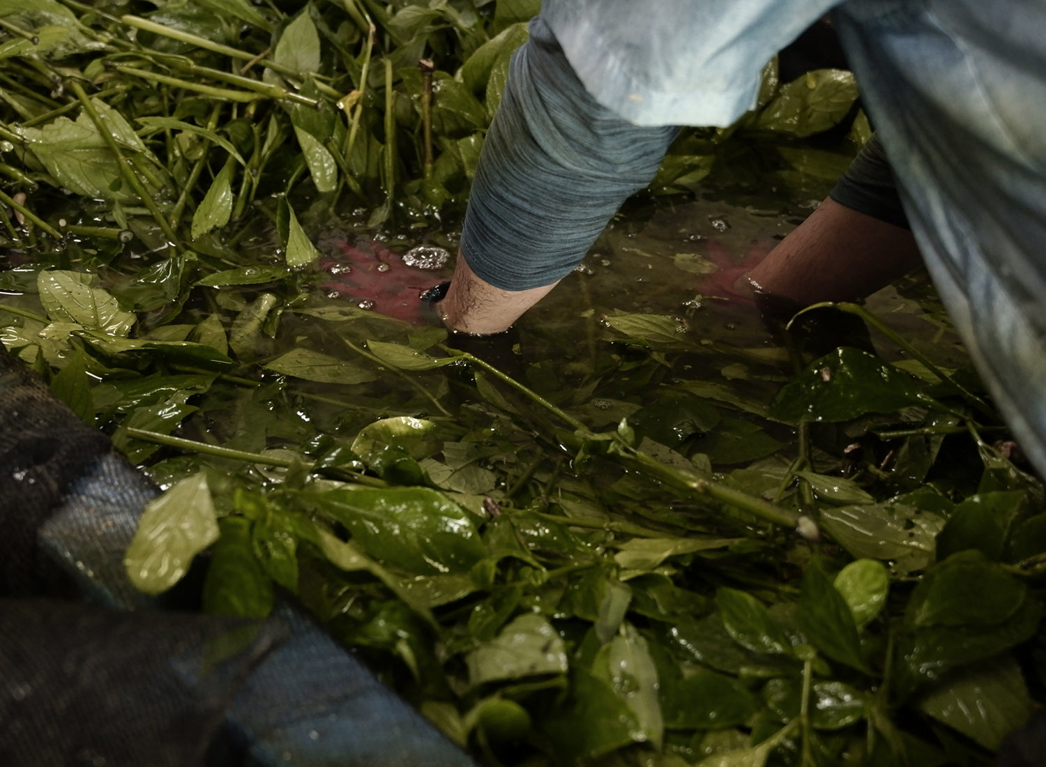 ryukyu_web_project08